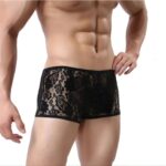 Siyah Fantezi Seksi Transparan Dantelli Erkek Boxer BC4612